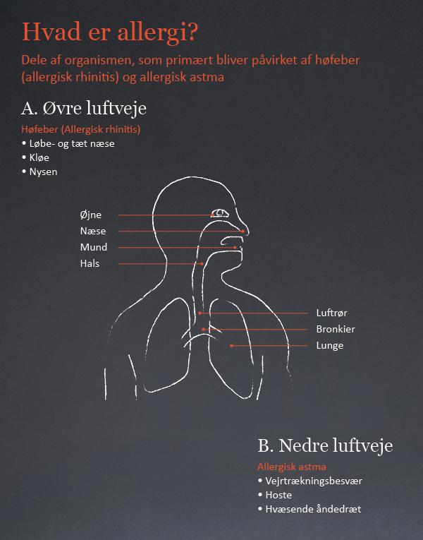 Hvad Er Allergisk Astma Img